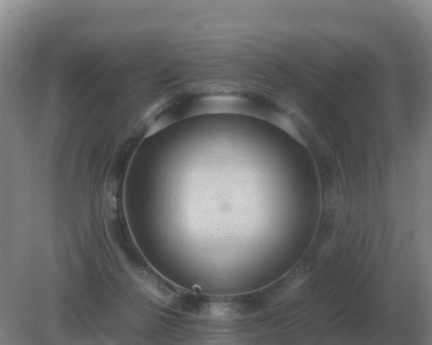 X0000081370264200701182146