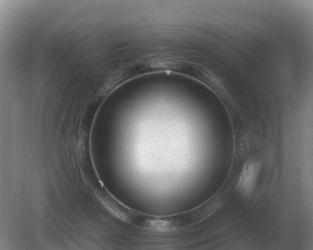 X0000081370265200701182146