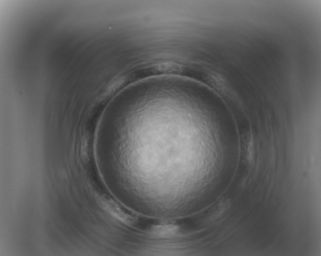 X0000081370266200701182146