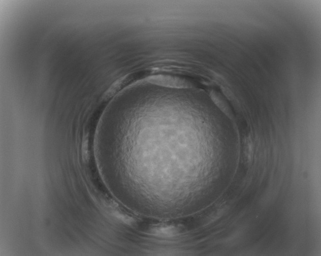 X0000081370267200701182146