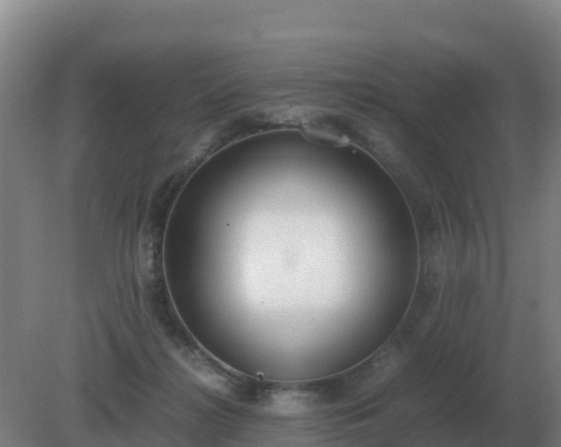 X0000081370268200701182146