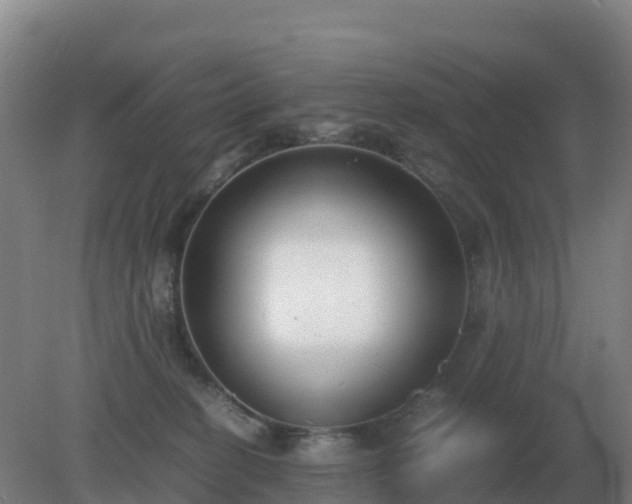 X0000081370274200701182147