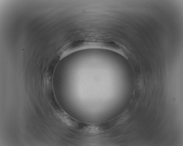 X0000081370276200701182147