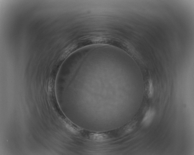 X0000081370277200701182147
