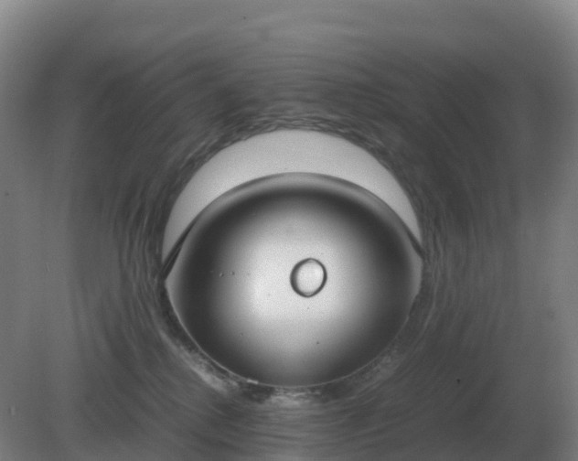 X0000081370280200701182147