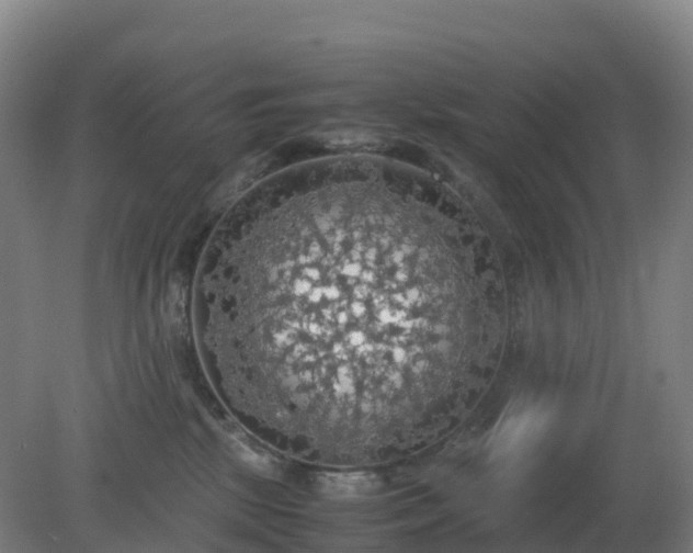 X0000081370281200701182147
