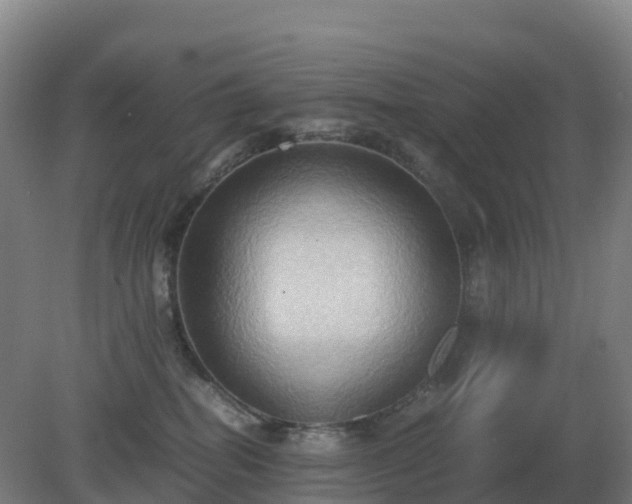 X0000081370282200701182147