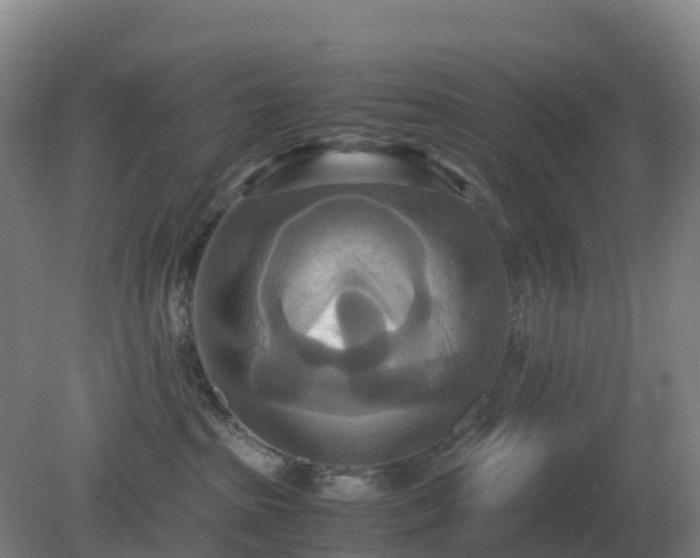 X0000081370285200701182147