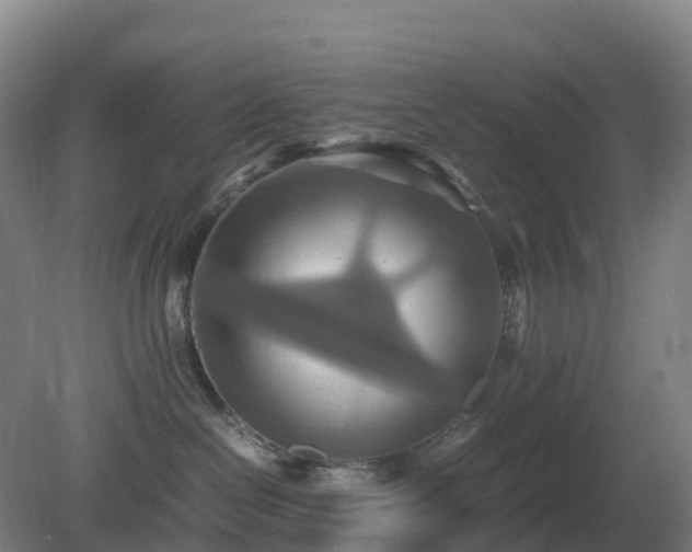 X0000081370286200701182147