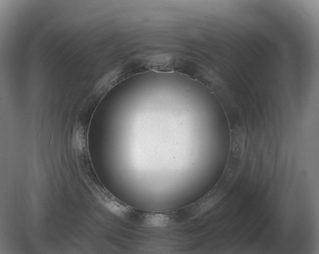 X0000081370287200701182147
