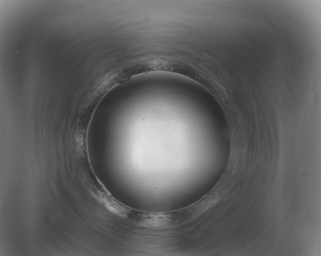 X0000081370288200701182147