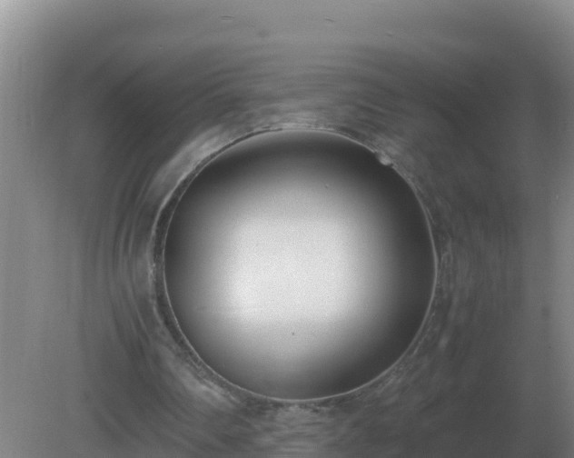 X0000081370290200701182146