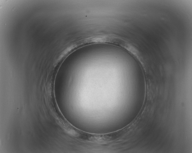 X0000081370297200701182146