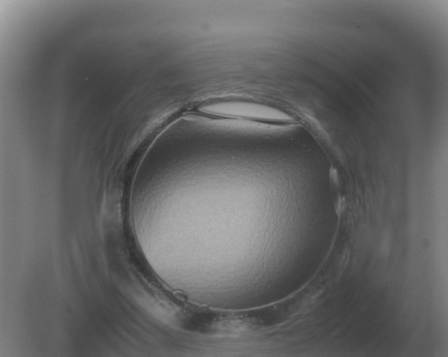 X0000081370299200701182146