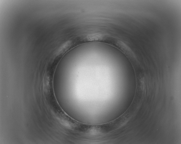 X0000081370308200701182146