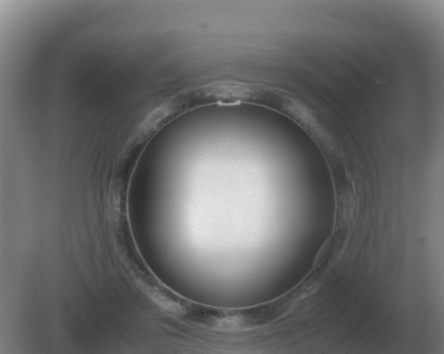 X0000081370309200701182146