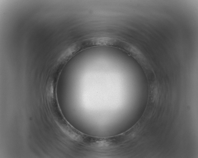 X0000081370310200701182146