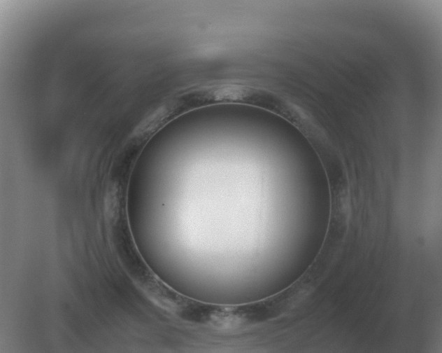 X0000081370311200701182146