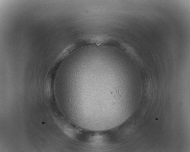 X0000081370312200701182146