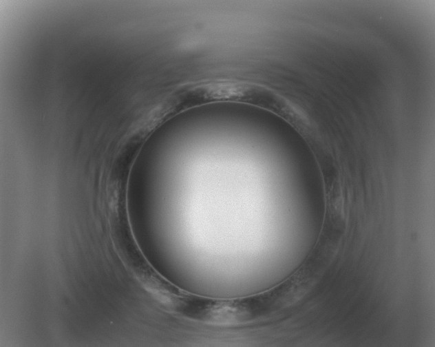 X0000081370315200701182145