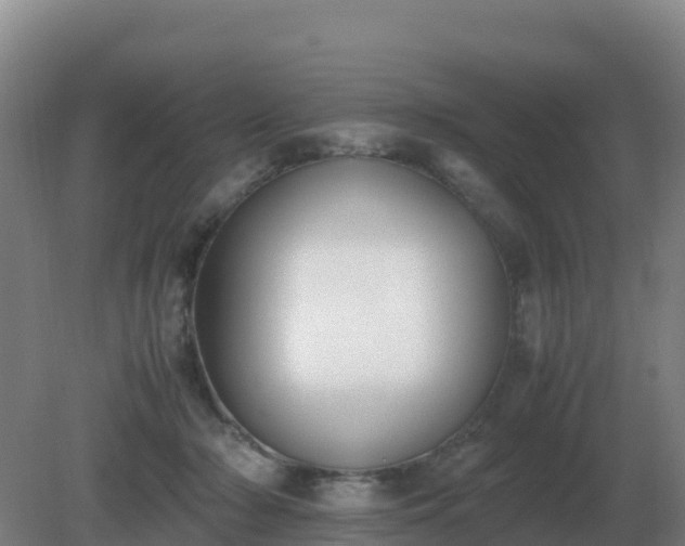 X0000081370318200701182145