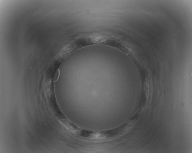 X0000081370319200701182145