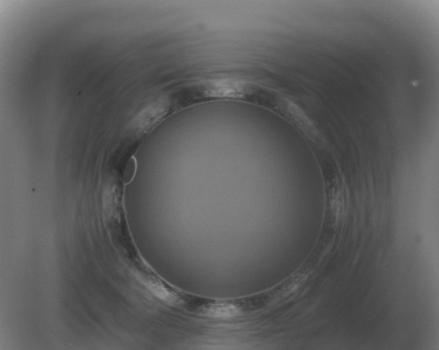X0000081370322200701182145