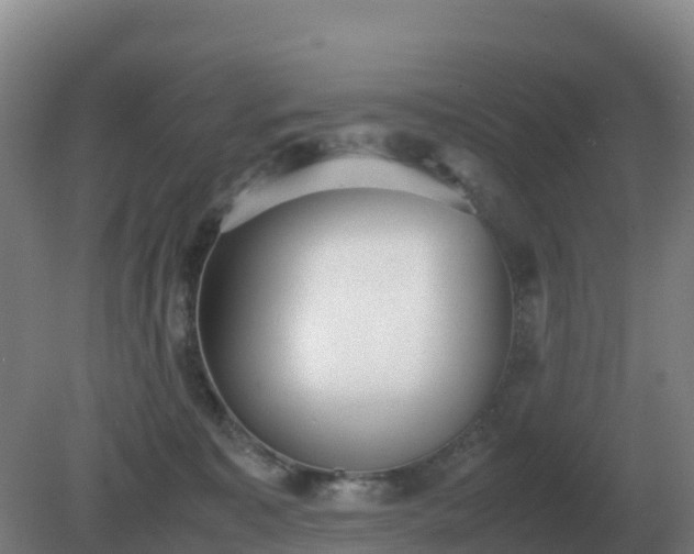 X0000081370323200701182145