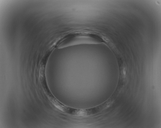 X0000081370325200701182145