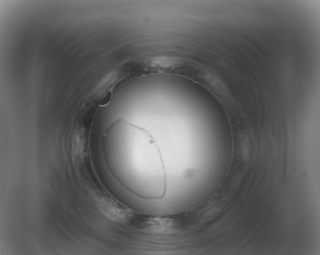 X0000081370328200701182145