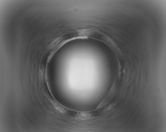 X0000081370329200701182145