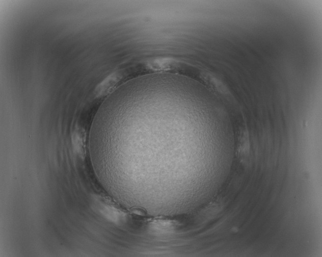 X0000081370332200701182145