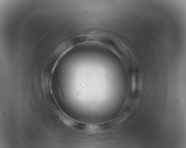 X0000081370333200701182145