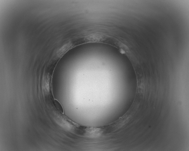 X0000081370334200701182145