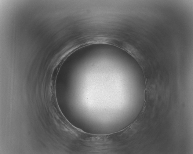 X0000081370338200701182144