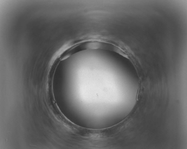 X0000081370344200701182144