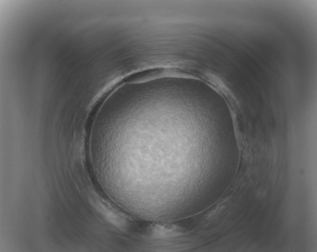 X0000081370346200701182144
