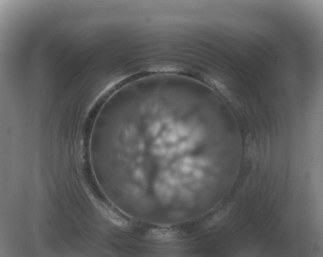 X0000081370351200701182145