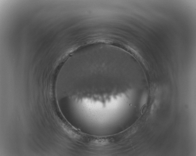 X0000081370353200701182145