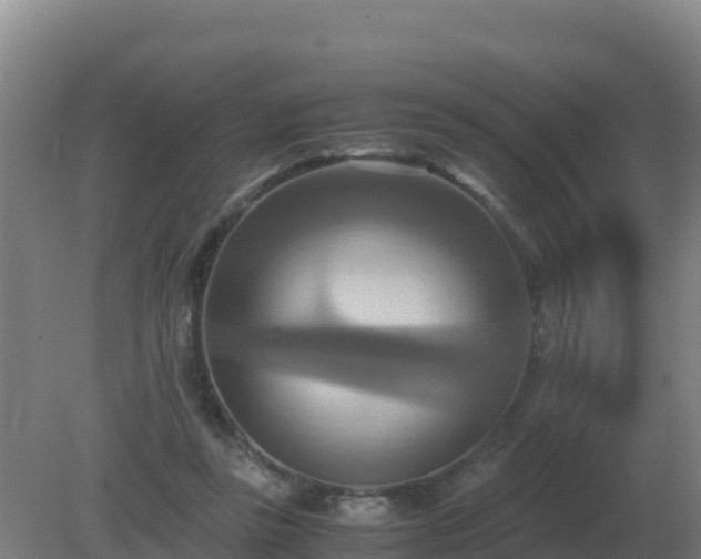 X0000081370355200701182145