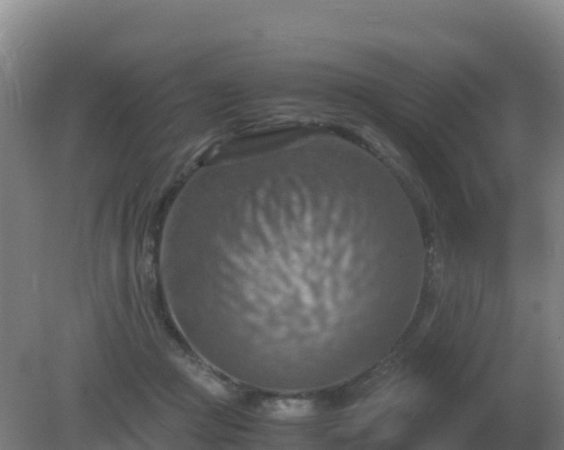 X0000081370361200701182145