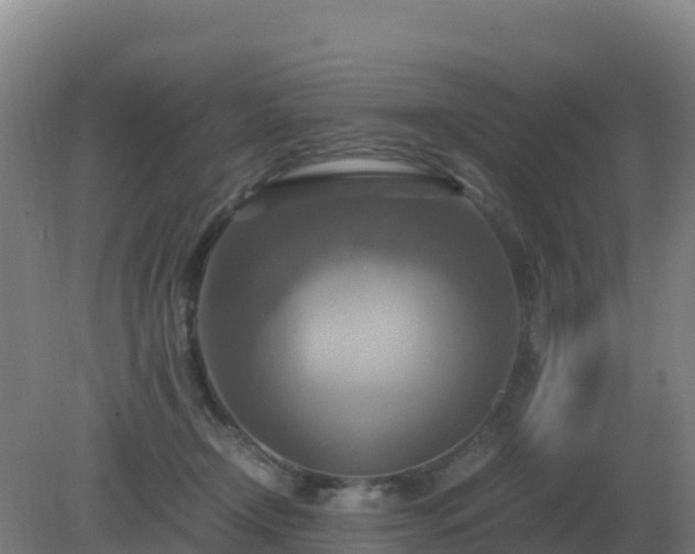 X0000081370366200701182145