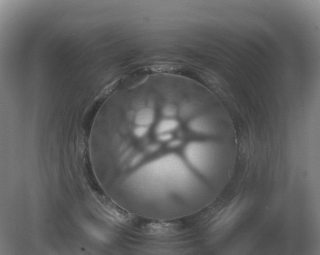 X0000081370367200701182145