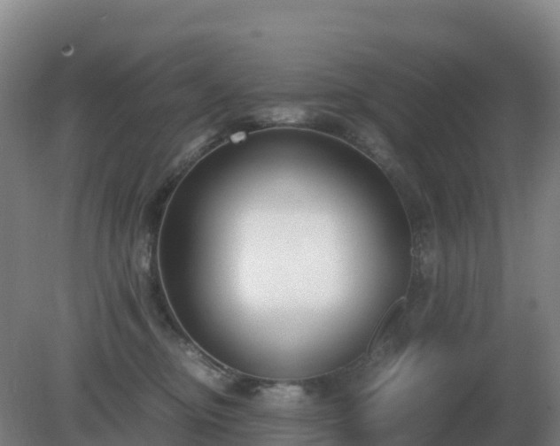 X0000081370374200701182145