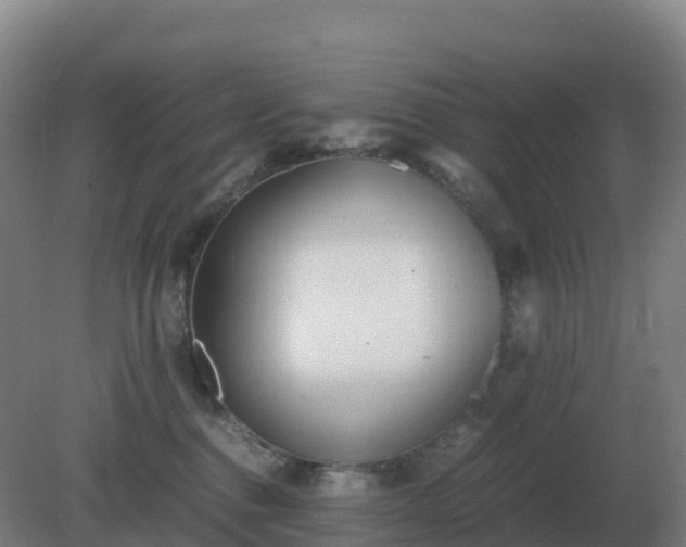 X0000081370376200701182145