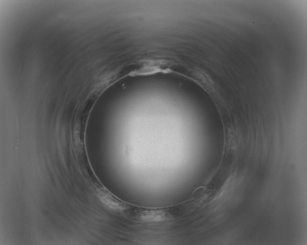 X0000081370377200701182145
