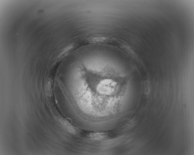 X0000081370378200701182145