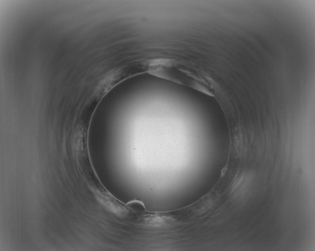 X0000081370379200701182145