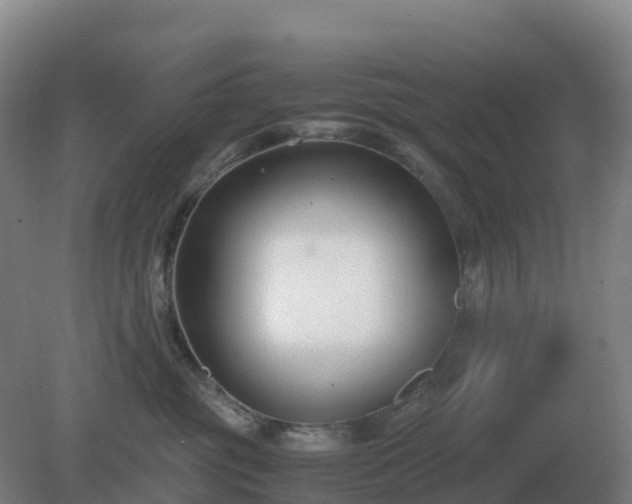 X0000081370381200701182145