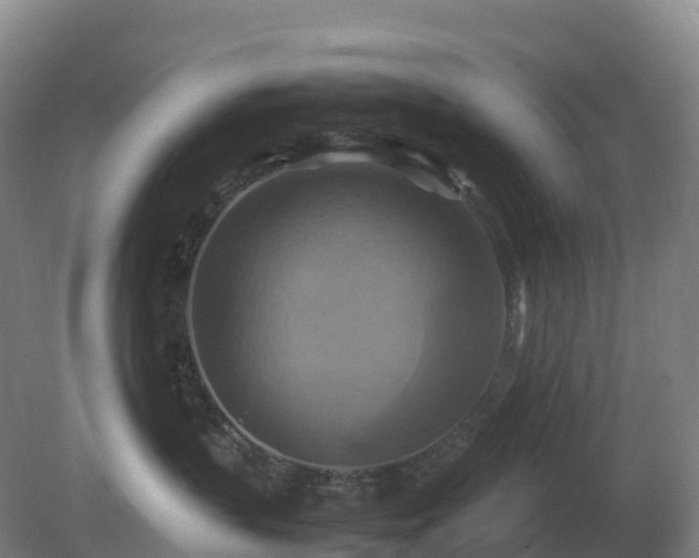 X0000081370383200701182145